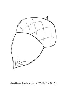 Outline illustration vector image of an acorn.
Hand drawn artwork of an acorn.
Simple cute original logo.
Hand drawn vector illustration for posters.