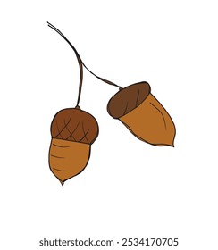 Outline illustration vector image of an acorn.
Hand drawn artwork of an acorn.
Simple cute original logo.
Hand drawn vector illustration for posters.