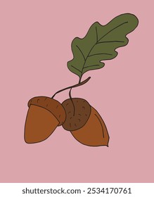 Outline illustration vector image of an acorn.
Hand drawn artwork of an acorn.
Simple cute original logo.
Hand drawn vector illustration for posters.