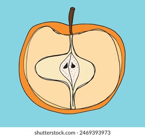 Outline illustration vector image of an apple.
Hand drawn artwork of an apple.
Simple cute original logo.
Hand drawn vector illustration for posters.