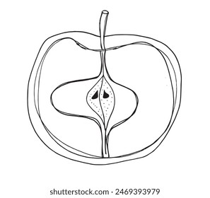 Umriss Illustration Vektorgrafik Bild eines Apfels.
Handgezeichnetes Kunstwerk eines Apfels.
Einfaches, niedliches Original-Logo.
Handgezeichnete Vektorillustration für Poster.