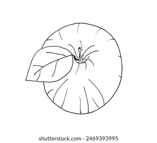 Outline illustration vector image of an apple.
Hand drawn artwork of an apple.
Simple cute original logo.
Hand drawn vector illustration for posters.