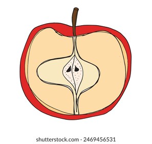 Outline illustration vector image of an apple.
Hand drawn artwork of an apple.
Simple cute original logo.
Hand drawn vector illustration for posters.