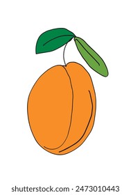 Outline illustration vector image of an apricot.
Hand drawn artwork of an apricot.
Simple cute original logo.
Hand drawn vector illustration for posters.