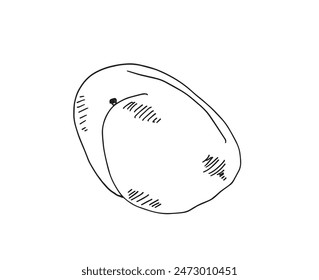Outline illustration vector image of an apricot.
Hand drawn artwork of an apricot.
Simple cute original logo.
Hand drawn vector illustration for posters.
