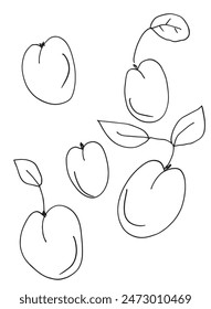Outline illustration vector image of an apricot.
Hand drawn artwork of an apricot.
Simple cute original logo.
Hand drawn vector illustration for posters.
