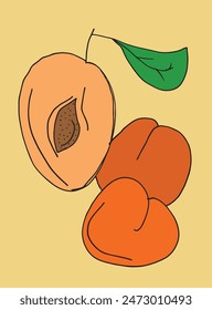 Outline illustration vector image of an apricot.
Hand drawn artwork of an apricot.
Simple cute original logo.
Hand drawn vector illustration for posters.