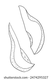 Outline illustration vector image of an avocado.
Hand drawn artwork of an avocado.
Simple cute original logo.
Hand drawn vector illustration for posters.