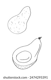 Outline illustration vector image of an avocado.
Hand drawn artwork of an avocado.
Simple cute original logo.
Hand drawn vector illustration for posters.