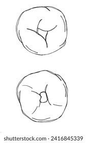 Outline illustration vector image of a bagel.
Hand drawn artwork of a bagel.
Simple cute original logo.
Hand drawn vector illustration for posters.