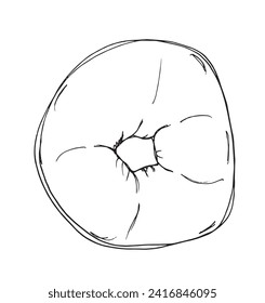 Outline illustration vector image of a bagel.
Hand drawn artwork of a bagel.
Simple cute original logo.
Hand drawn vector illustration for posters.