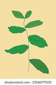 Outline illustration vector image of a basil.
Hand drawn artwork of a basil.
Simple cute original logo.
Hand drawn vector illustration for posters.