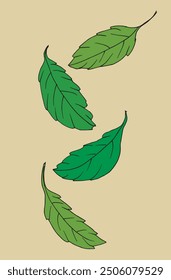 Outline illustration vector image of a basil.
Hand drawn artwork of a basil.
Simple cute original logo.
Hand drawn vector illustration for posters.