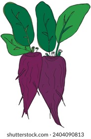 Outline illustration vector image of a beet root.
Hand drawn artwork of a beets.
Simple cute original logo.
Hand drawn vector illustration for posters