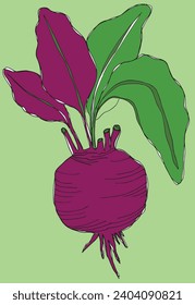 Outline illustration vector image of a beet root.
Hand drawn artwork of a beets.
Simple cute original logo.
Hand drawn vector illustration for posters