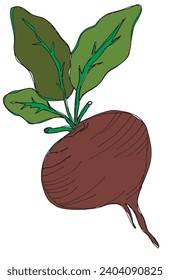 Outline illustration vector image of a beet root.
Hand drawn artwork of a beets.
Simple cute original logo.
Hand drawn vector illustration for posters