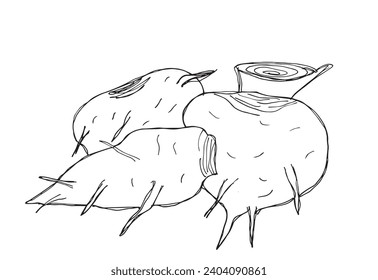 Outline illustration vector image of a beet root.
Hand drawn artwork of a beets.
Simple cute original logo.
Hand drawn vector illustration for posters