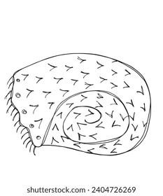 Outline illustration vector image of a blanket.
Hand drawn artwork of a blanket.
Simple cute original logo.
Hand drawn vector illustration for posters