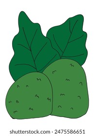 Ilustración de contorno Imagen de Vector de un arbusto.
Obra de arte dibujada a mano de un arbusto.
Simple lindo logotipo original.
Ilustración vectorial dibujada a mano para carteles.
