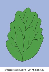 Outline illustration vector image of a bush.
Hand drawn artwork of a bush.
Simple cute original logo.
Hand drawn vector illustration for posters.