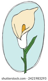 Outline illustration vector image of a calla flower.
Hand drawn artwork of a calla flowers.
Simple cute original logo.
Hand drawn vector illustration for posters.
