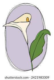 Ilustración de esquema de imagen vectorial de una flor de la calla.
Obra de arte a mano de una flor de la calla.
Simple y lindo logo original.
Ilustración vectorial dibujada a mano para afiches.