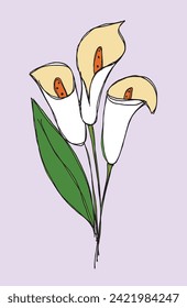 Outline illustration vector image of a calla flower.
Hand drawn artwork of a calla flowers.
Simple cute original logo.
Hand drawn vector illustration for posters.