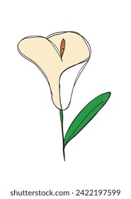 Outline illustration vector image of a calla flower.
Hand drawn artwork of a calla flowers.
Simple cute original logo.
Hand drawn vector illustration for posters.