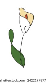 Outline illustration vector image of a calla flower.
Hand drawn artwork of a calla flowers.
Simple cute original logo.
Hand drawn vector illustration for posters.