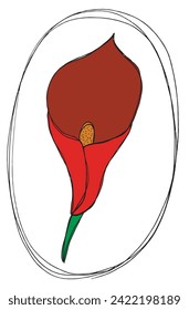 Umfassende Vektorgrafik einer Calla-Blume.
Handgezeichnete Kunstwerke einer Calla Blumen.
Einfaches, niedliches Originallogo.
Handgezeichnete Vektorgrafik für Poster.