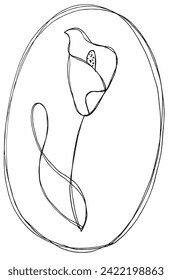 Outline illustration vector image of a calla flower.
Hand drawn artwork of a calla flowers.
Simple cute original logo.
Hand drawn vector illustration for posters.