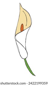 Ilustración de esquema de imagen vectorial de una flor de la calla.
Obra de arte a mano de una flor de la calla.
Simple y lindo logo original.
Ilustración vectorial dibujada a mano para afiches.