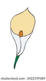 Ilustración de esquema de imagen vectorial de una flor de la calla.
Obra de arte a mano de una flor de la calla.
Simple y lindo logo original.
Ilustración vectorial dibujada a mano para afiches.