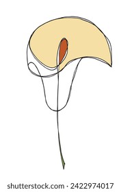Outline illustration vector image of a calla flower.
Hand drawn artwork of a calla flowers.
Simple cute original logo.
Hand drawn vector illustration for posters.