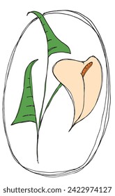 Umfassende Vektorgrafik einer Calla-Blume.
Handgezeichnete Kunstwerke einer Calla Blumen.
Einfaches, niedliches Originallogo.
Handgezeichnete Vektorgrafik für Poster.