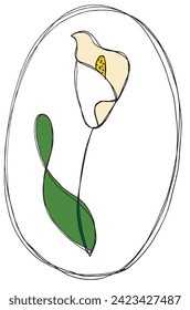 Outline illustration vector image of a calla flower.
Hand drawn artwork of a calla flowers.
Simple cute original logo.
Hand drawn vector illustration for posters.