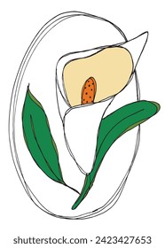 Umfassende Vektorgrafik einer Calla-Blume.
Handgezeichnete Kunstwerke einer Calla Blumen.
Einfaches, niedliches Originallogo.
Handgezeichnete Vektorgrafik für Poster.