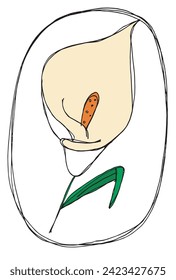 Outline illustration vector image of a calla flower.
Hand drawn artwork of a calla flowers.
Simple cute original logo.
Hand drawn vector illustration for posters.