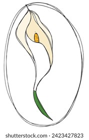 Outline illustration vector image of a calla flower.
Hand drawn artwork of a calla flowers.
Simple cute original logo.
Hand drawn vector illustration for posters.