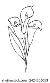 Umfassende Vektorgrafik einer Calla-Blume.
Handgezeichnete Kunstwerke einer Calla Blumen.
Einfaches, niedliches Originallogo.
Handgezeichnete Vektorgrafik für Poster.