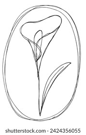 Ilustración de esquema de imagen vectorial de una flor de la calla.
Obra de arte a mano de una flor de la calla.
Simple y lindo logo original.
Ilustración vectorial dibujada a mano para afiches.