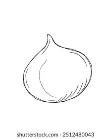 Outline illustration vector image of a cheese.
Hand drawn artwork of a cheese.
Simple cute original logo.
Hand drawn vector illustration for posters.