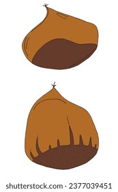 Outline illustration vector image of a chestnut.
Hand drawn artwork of a chestnut. 
Simple cute original logo.
Hand drawn vector illustration for posters, cards, t-shirts.