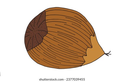 Outline illustration vector image of a chestnut.
Hand drawn artwork of a chestnut. 
Simple cute original logo.
Hand drawn vector illustration for posters, cards, t-shirts.