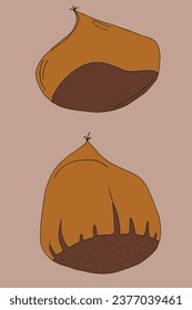 Outline illustration vector image of a chestnut.
Hand drawn artwork of a chestnut. 
Simple cute original logo.
Hand drawn vector illustration for posters, cards, t-shirts.