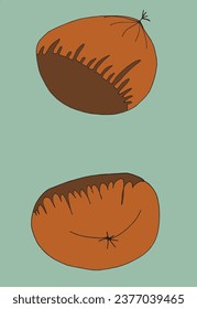 Outline illustration vector image of a chestnut.
Hand drawn artwork of a chestnut. 
Simple cute original logo.
Hand drawn vector illustration for posters, cards, t-shirts.