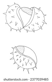 Outline illustration vector image of a chestnut.
Hand drawn artwork of a chestnut. 
Simple cute original logo.
Hand drawn vector illustration for posters, cards, t-shirts.