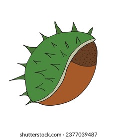 Outline illustration vector image of a chestnut.
Hand drawn artwork of a chestnut. 
Simple cute original logo.
Hand drawn vector illustration for posters, cards, t-shirts.