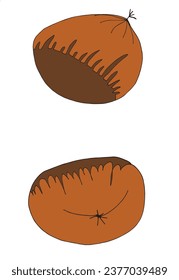 Outline illustration vector image of a chestnut.
Hand drawn artwork of a chestnut. 
Simple cute original logo.
Hand drawn vector illustration for posters, cards, t-shirts.