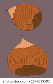 Outline illustration vector image of a chestnut.
Hand drawn artwork of a chestnut. 
Simple cute original logo.
Hand drawn vector illustration for posters, cards, t-shirts.